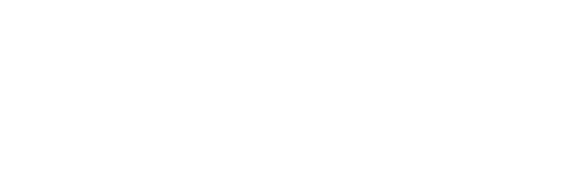 THE EXPO