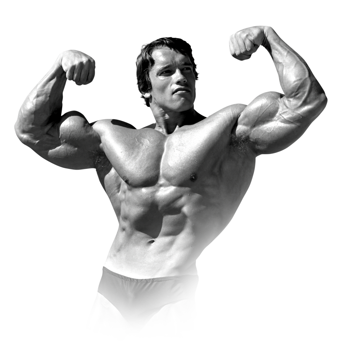 Arnold Schwarzenegger