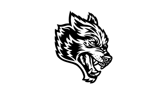 Darc Sport
